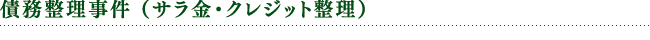 債務整理事件 (サラ金・クレジット整理)
